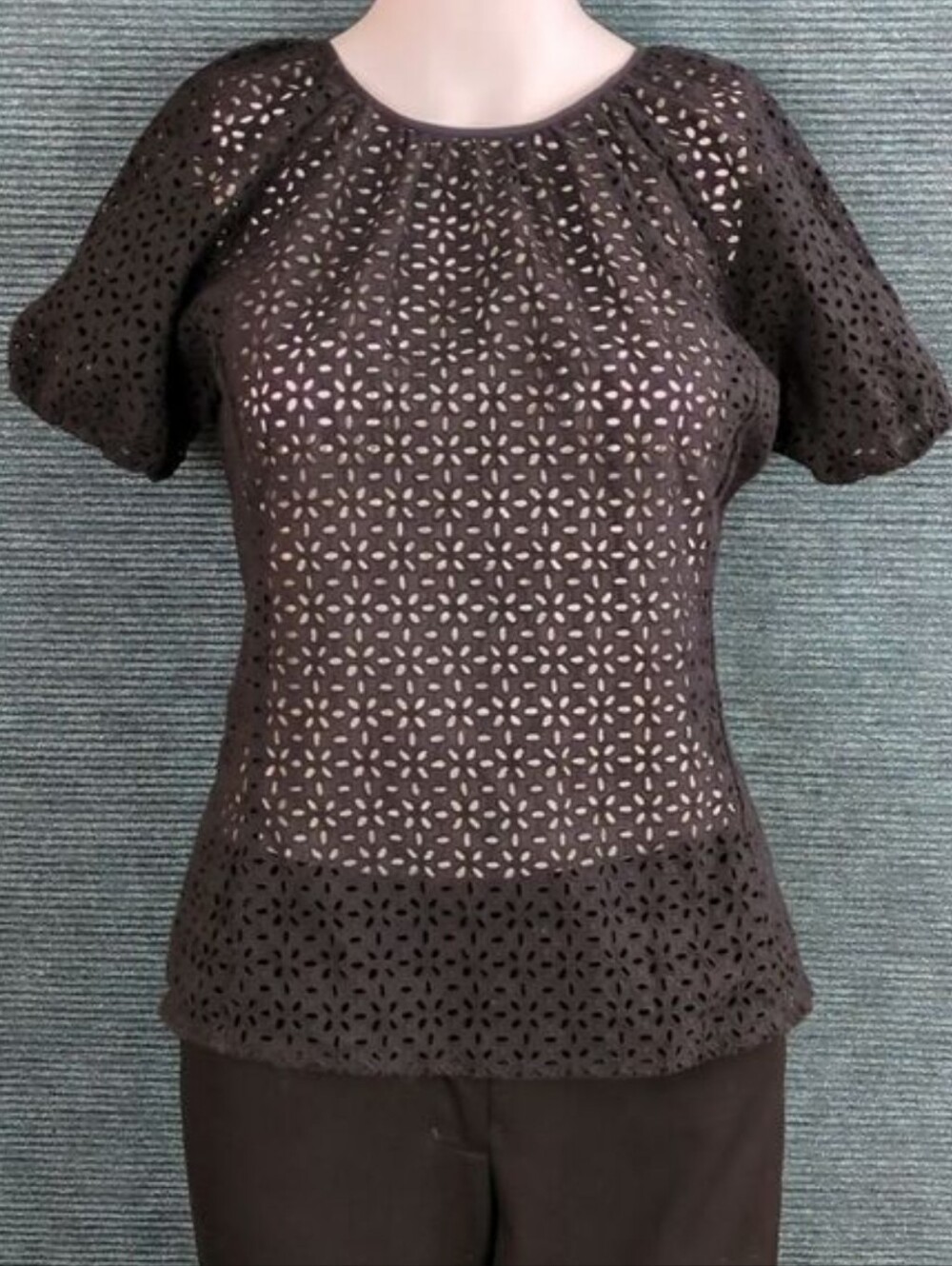 J. Crew Re-Imagined by J. Crew Eyelet Top, Puff Sleeves